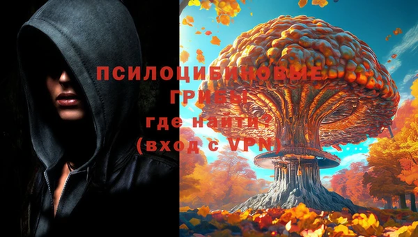 мяу мяу мука Кодинск