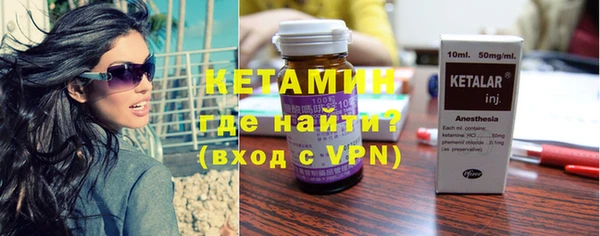 шишки Коряжма