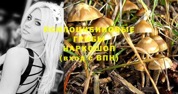 mdma Козельск