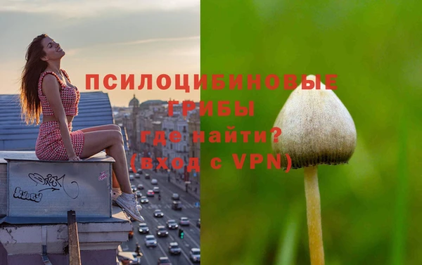 мяу мяу мука Кодинск